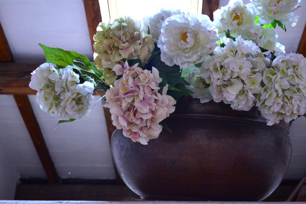 Cosetta Guest House Certaldo Rom bilde